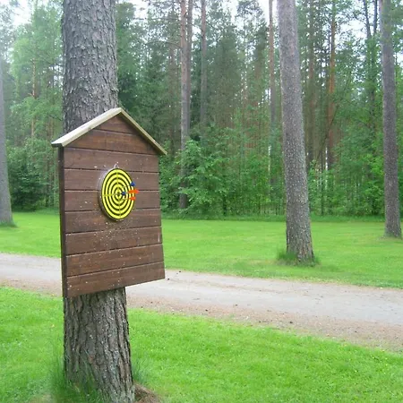 Отель Maentylinna